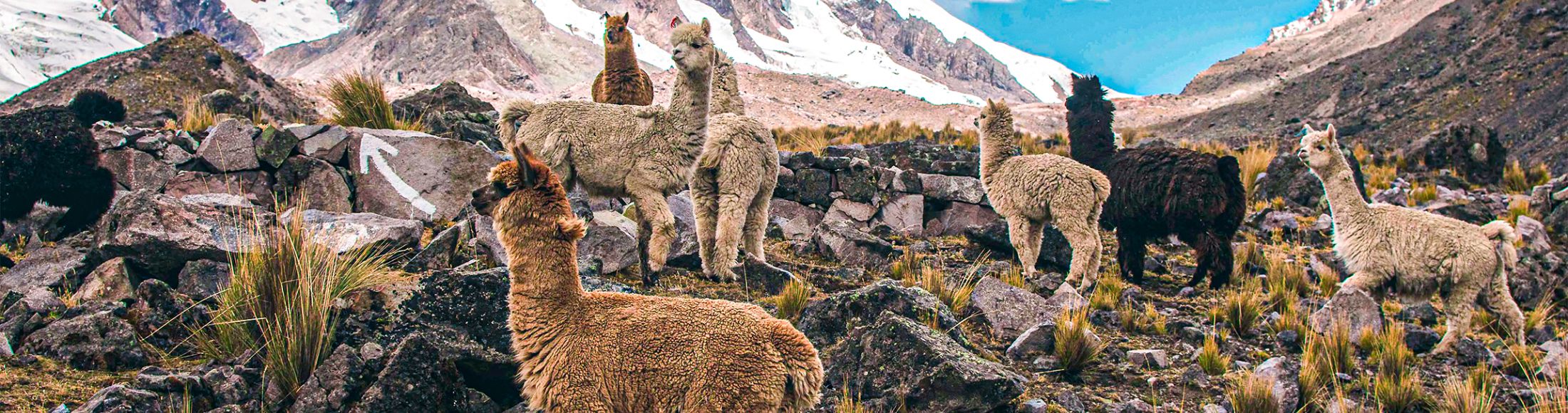 Machu Picchu 4D3N Viajero (Cultural Aventura Tendencia)  desde Costa Rica