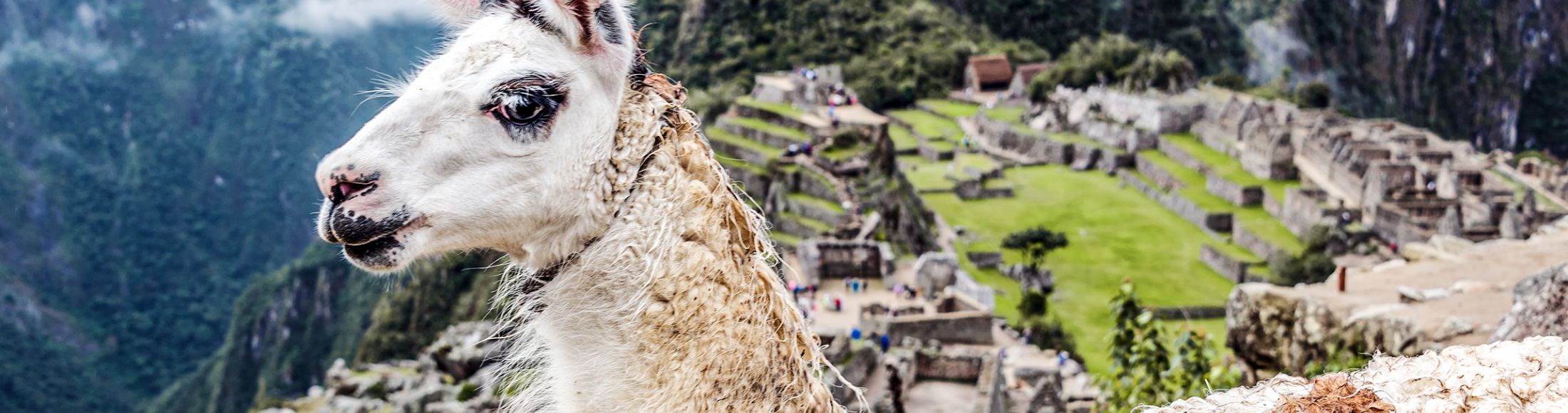 Machu Picchu 8D7N Viajero (Full Cultural)  desde Costa Rica